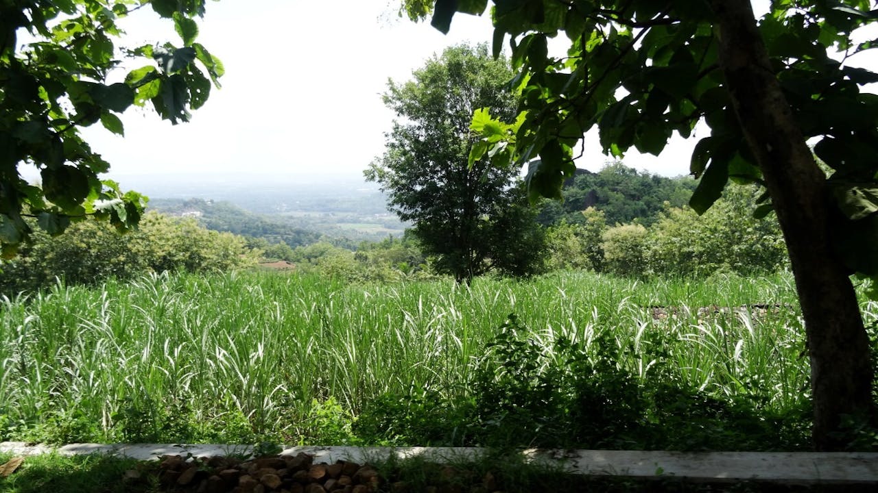 Omgeving van Bumi Langit.
