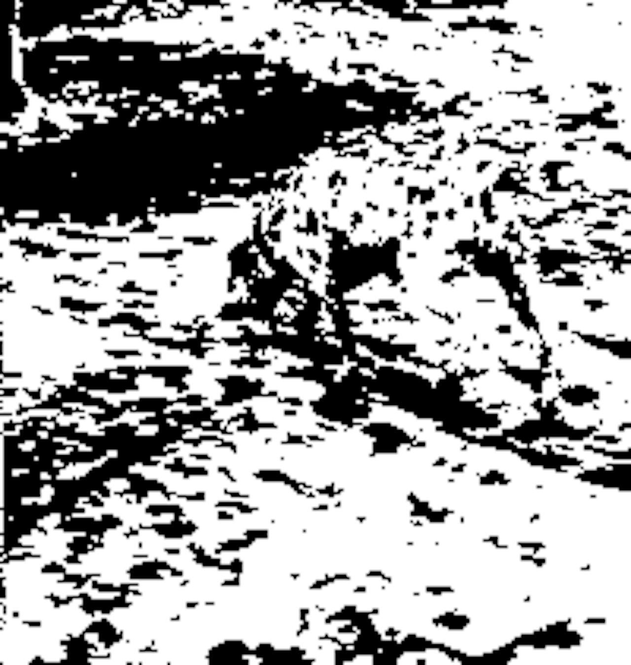 Een zwart-wit tekening van een Dalmatiër.