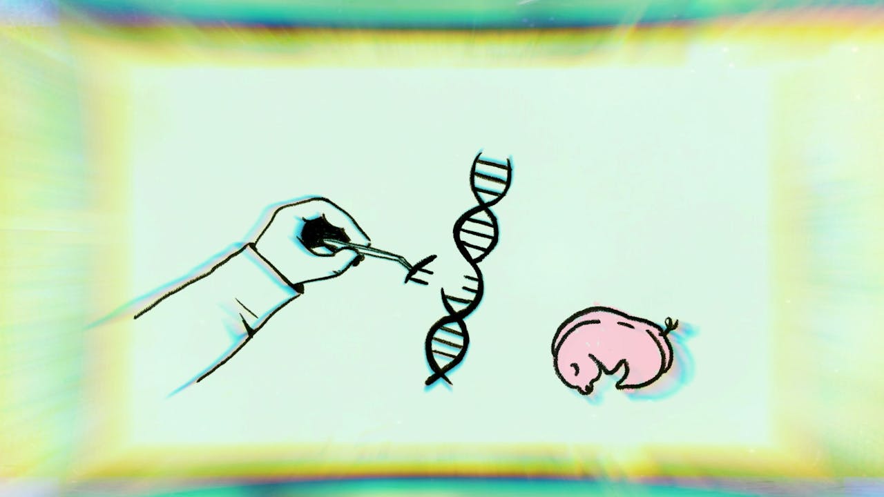 Een illustratie van een hand die een stukje van een DNA-streng pakt. Aan de andere kant van de DNA streng is een orgaan afgebeeld.