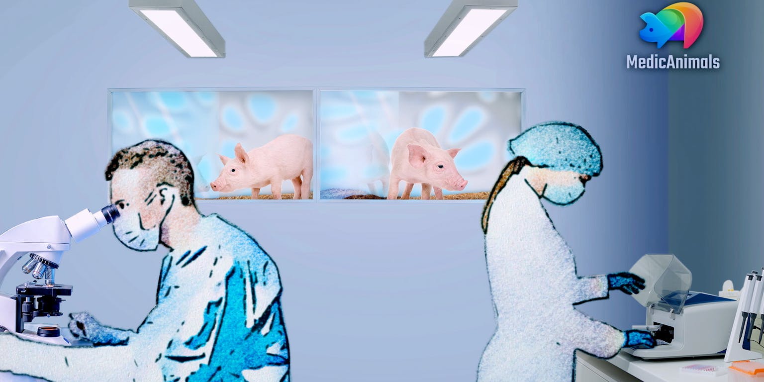 Een tekening van twee mensen die in een laboratorium werken. Op de achtergrond zijn twee schilderijen met varkens te zien.
