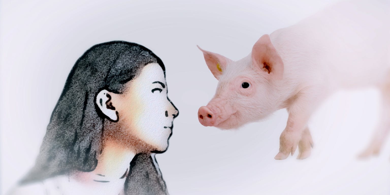 Een tekening van een vrouw en een varken. De achtergrond is wit.