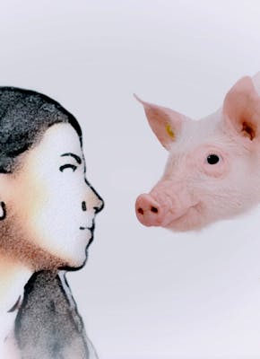 Een tekening van een vrouw en een varken. De achtergrond is wit.