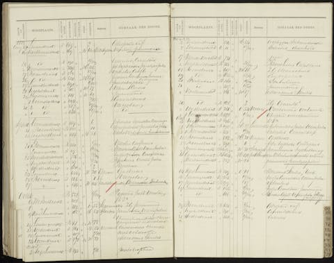 Maandenlang hebben Mayra Murkens en Owen Lammertink het Amsterdamse doodsoorzakenregister doorgespit. Een bladzijde uit het Amsterdamse Doodsoorzakenregister