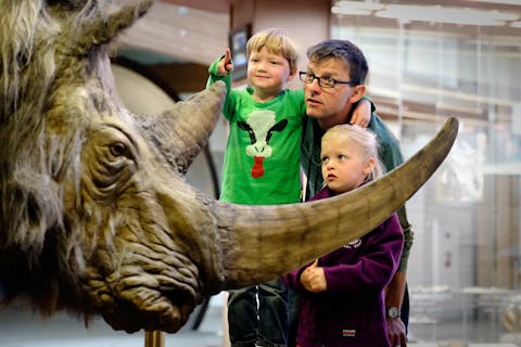 Bezoekers bekijken een levensecht model van de wolharige neushoorn bij natuurmuseum Ecomare op Texel. Een vader en zijn twee kinderen bekijken een levensecht model van een wolharig museum.