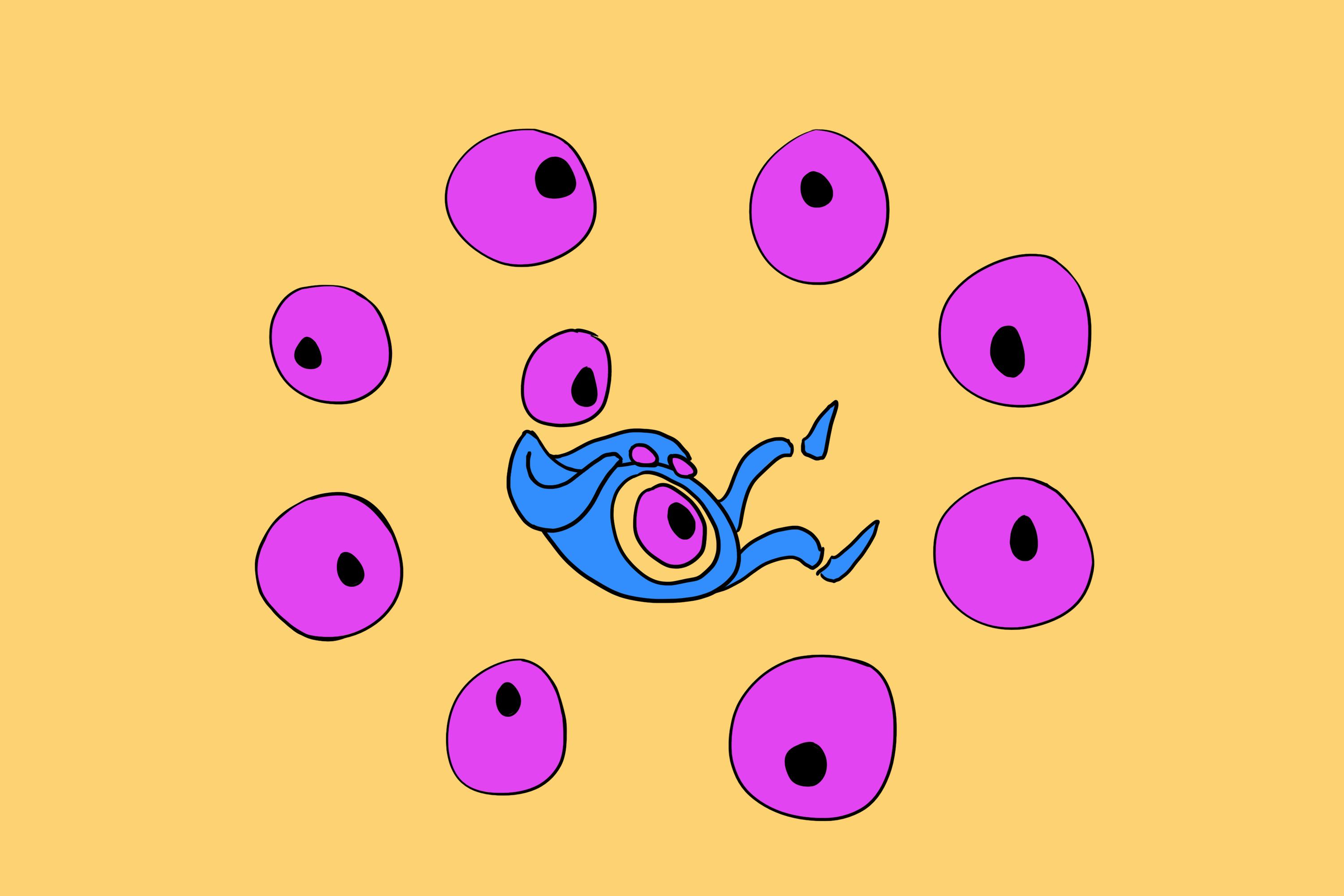 Embryo en stamcellen in licht