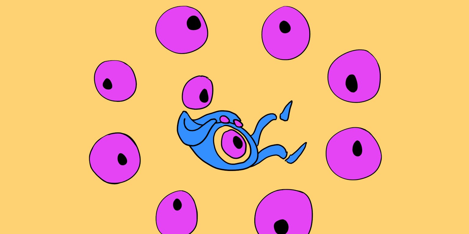 Embryo en stamcellen in licht