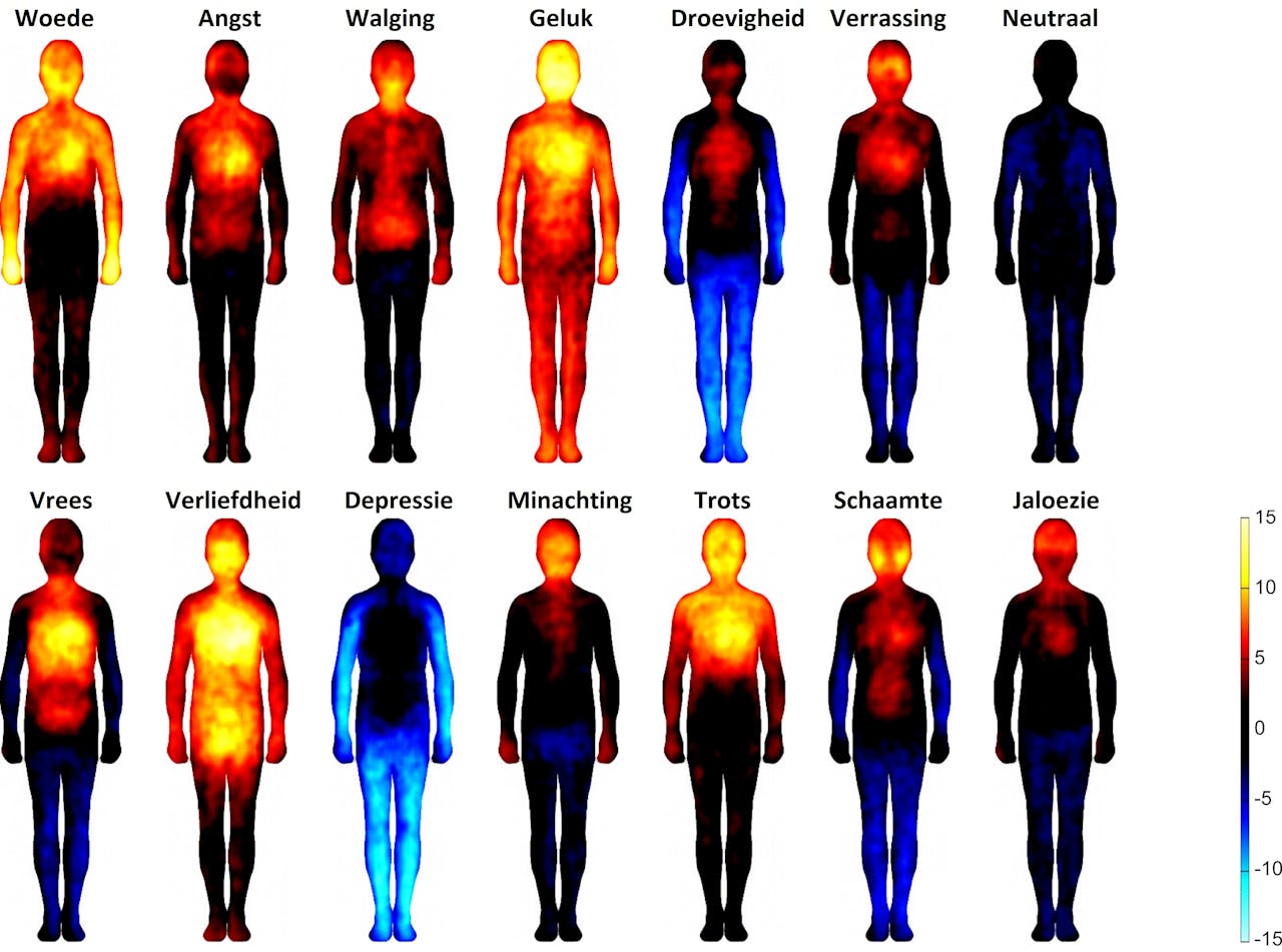 Een diagram dat de verschillende emoties van het menselijk lichaam toont.
