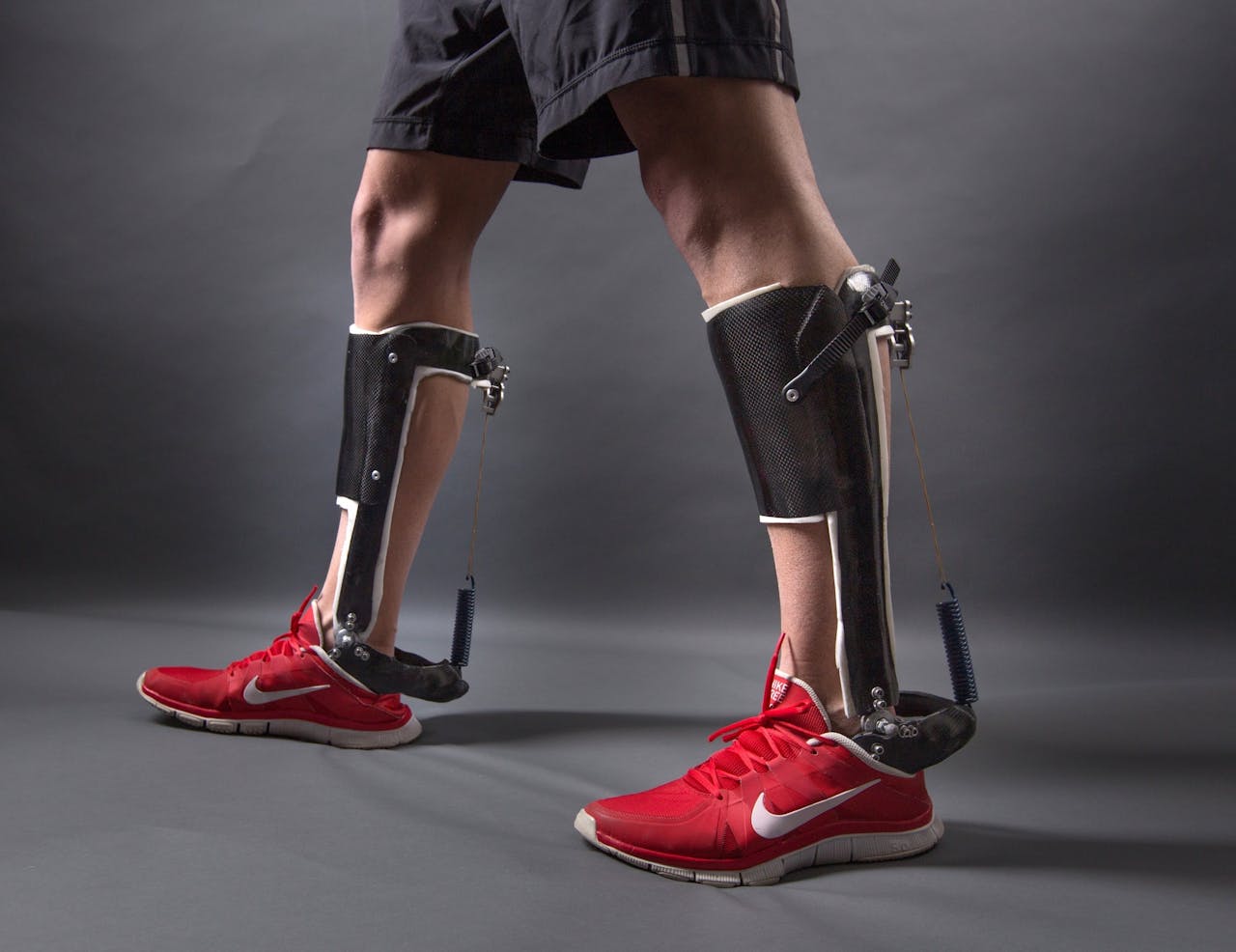 Het exoskelet.