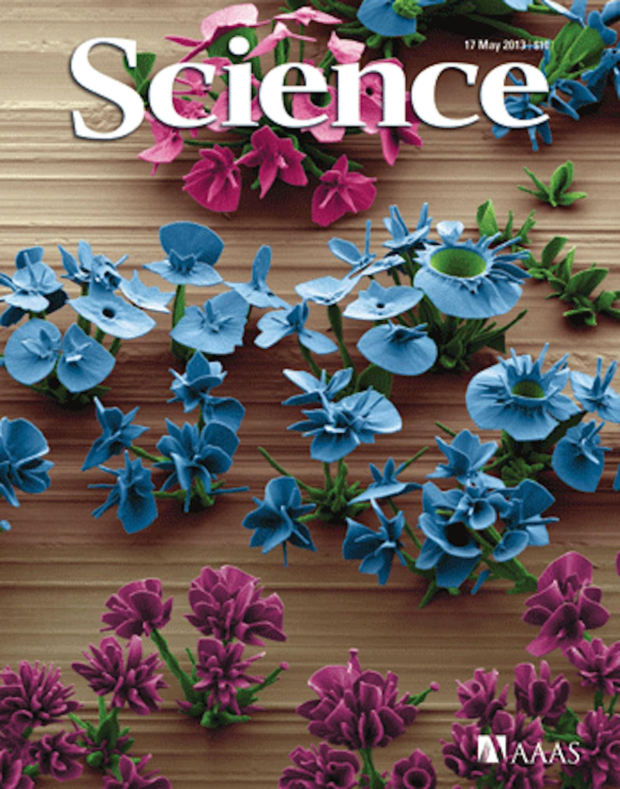 De Science van 17 mei 2013.