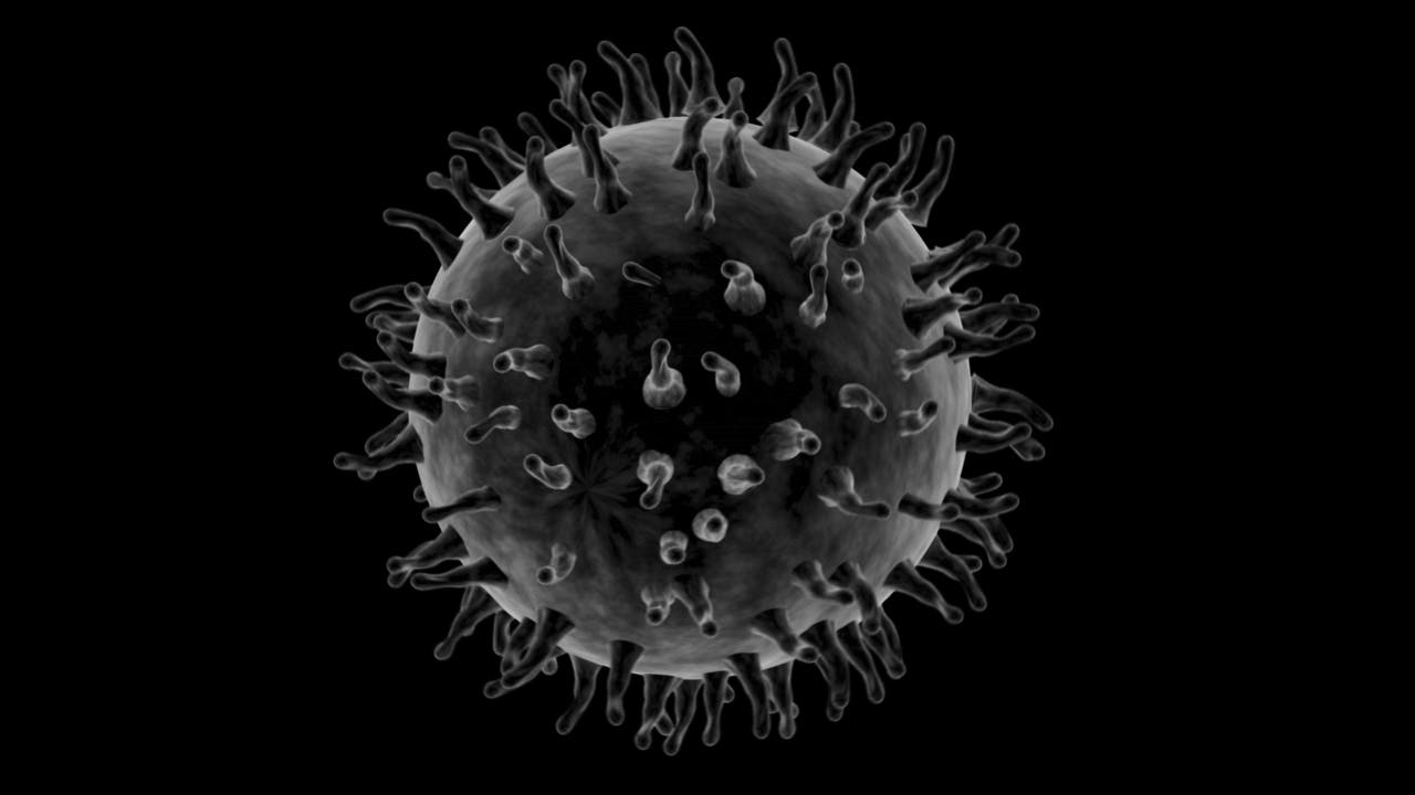 Een virusdeeltje. Bacteriën verdedigen zich tegen infectie met een virus door het DNA van het virus op een specifieke plek door te knippen. Dit is de basis voor de Crispr-techniek voor genetische modificatie. Het virus bestrijdt die verdediging weer met eiwitten die het knippen dwarszitten. Dit kan de basis vormen voor een ‘stopknop’ voor de Crispr-techniek.