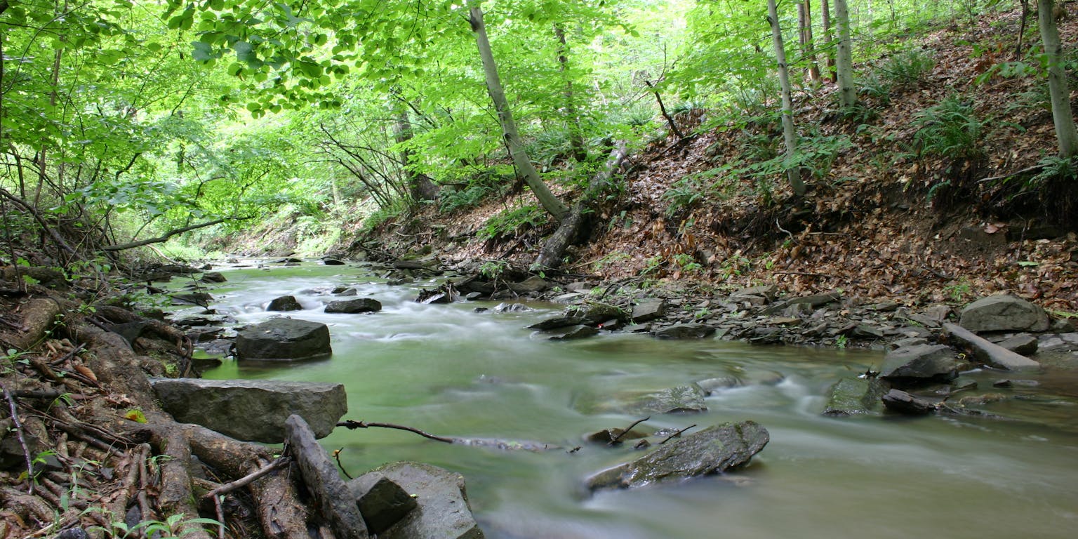 Een beekje dat door een bos stroomt in Eagleville, Pennsylvania.