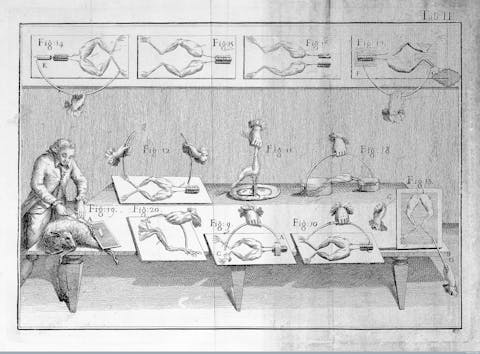 Het verhaal van Frankenstein gaat vooral over onze angst voor de oncontroleerbare wetenschap. In de achttiende en negentiende eeuw ging dat vooral over elektriciteit en het tot leven wekken van levenloze materie. Maar diezelfde angst zie je ook tegenwoordig nog terug in onze ongerustheid over AI. Een gravure die experimenten met elektriciteit en het samentrekken van afgesneden kikkerpoten toont
