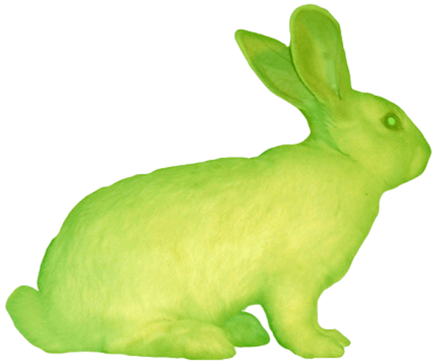 In 2000 maakten een kunstenaar en een geneticus het kunstwerk "GFP Bunny", een konijn  dat groen oplichtte onder blauw licht. Het konijn, Alba, had daarvoor een gen van een kwal meegekregen. Het konijn zelf leed er niet onder. Toch zat dit de meeste mensen niet lekker. Wanneer pas je de aard van een dier teveel aan? Foto van een lichtgevend konijn