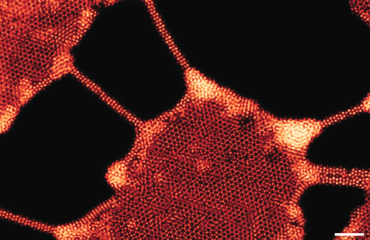 De gaten in de plakken van molybdeen en seleen. Tussen deze gaten bleven de dunne nanodraden over. Het witte balkje onderin meet 2 nanometer.
