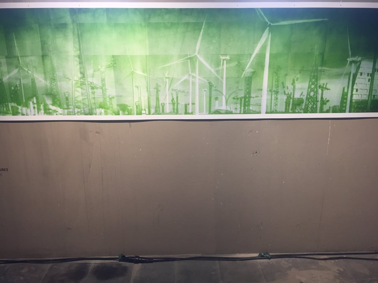 Foto die is ontwikkeld met behulp van microalgen. Een werk van Lia Giraud.