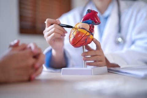 De kennis dat hartfalen bij vrouwen andere symptomen geeft dan bij mannen, is relatief nieuw Aan tafel bij een cardioloog met het model van een hart op de voorgrond