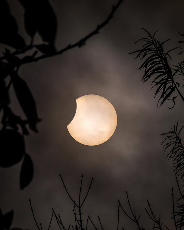 Tijdens een maansverduistering werpt de aarde een schaduw op de maan. De gekromde schaduw wijst erop dat de aarde rond is. Gedeeltelijke maansverduistering met takken op de voorgrond