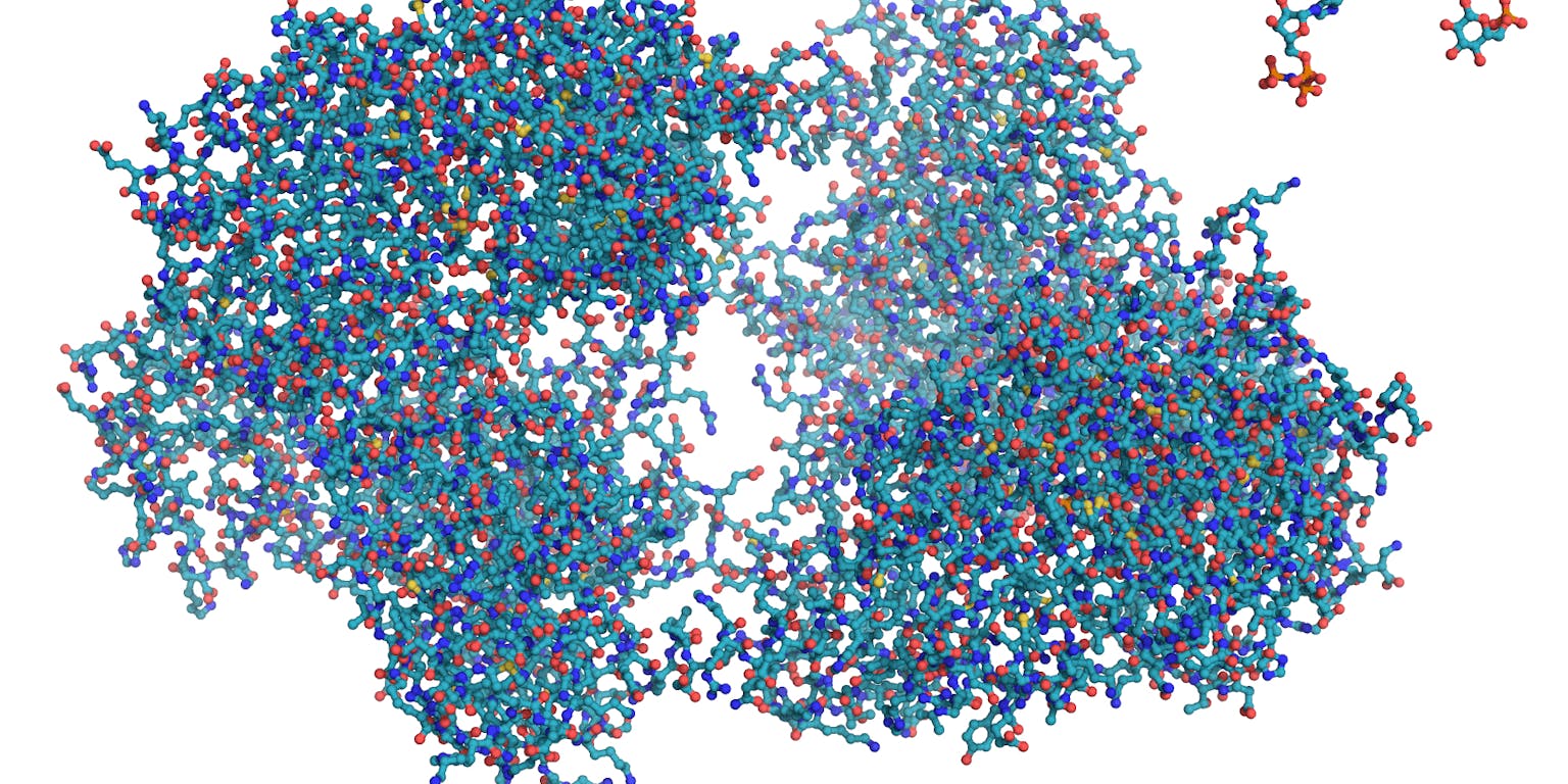 Een kaart die het verschil tussen tussen grote en kleine moleculen laat zien. Links het grote eiwit hexokinase, rechtsboven de kleine moleculen ATP (de ‘oplaadbare batterij’ van de cel) en glucose (een suiker).