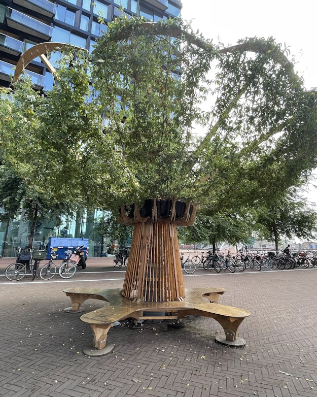 De zogenoemde Many Tree, een van de ‘schaduwmakers’ op de Oosterdokskade in Amsterdam. Het is een pergola in de vorm van een boom.