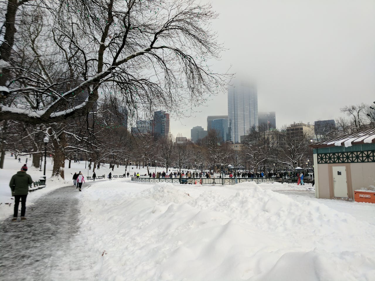 Dit jaar is de AAS Annual Meeting in besneeuwd Boston.