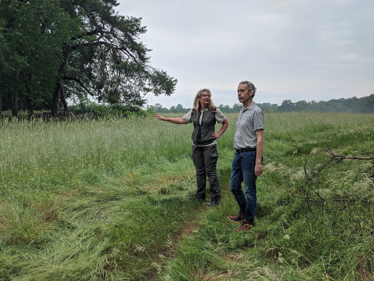 Boswachter Corien Koreman en onderzoeker Arjen Buijs in discussie op het Leersumse Veld.