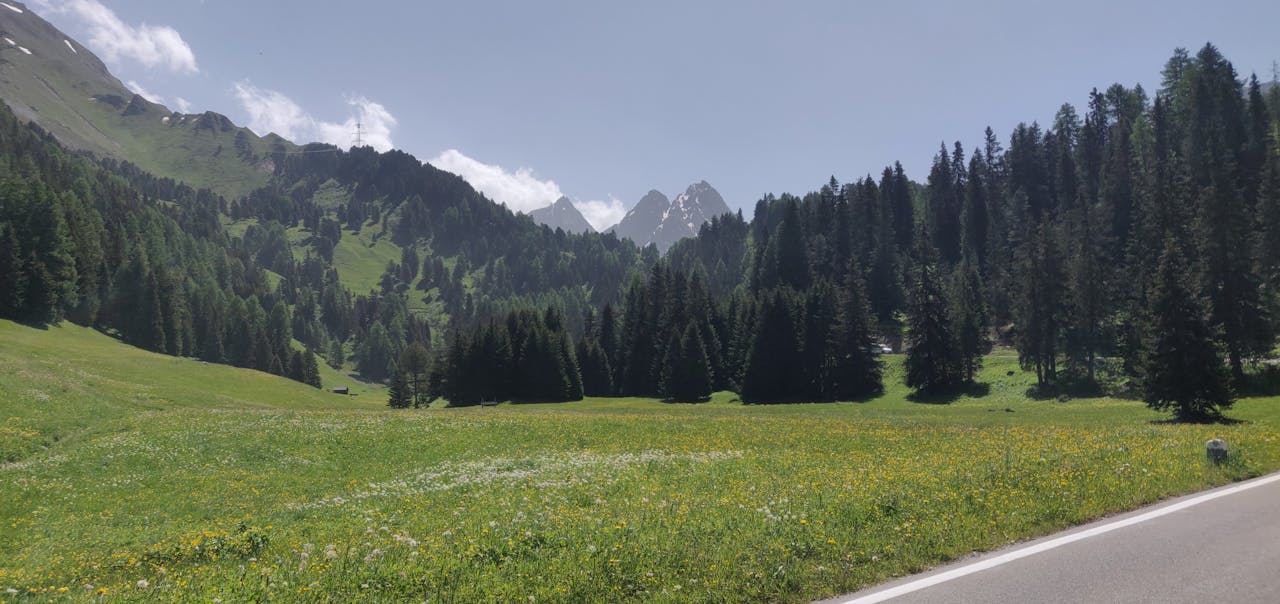 Een landschap vol met ecosysteemdiensten langs de Albulapassstraβe in Zwitserland, zoals naaldbomen en bergweiden vol bloemen