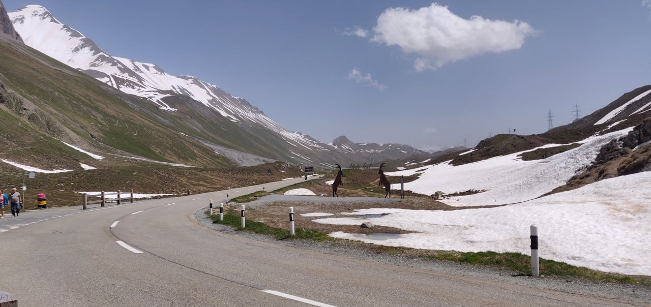 Symbool van twee steenbokken die tegen elkaar op botsen als symbool van Graubünden bovenop de besneeuwde Albulapas.