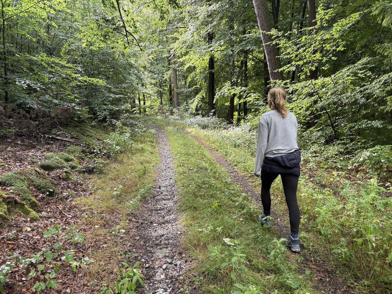 Veel mensen ervaren minder stress als ze in de natuur zijn, wat ook weer goed is voor het schrijven. Antonia Becker tijdens haar schrijfweek in Duitsland terwijl ze wandelt