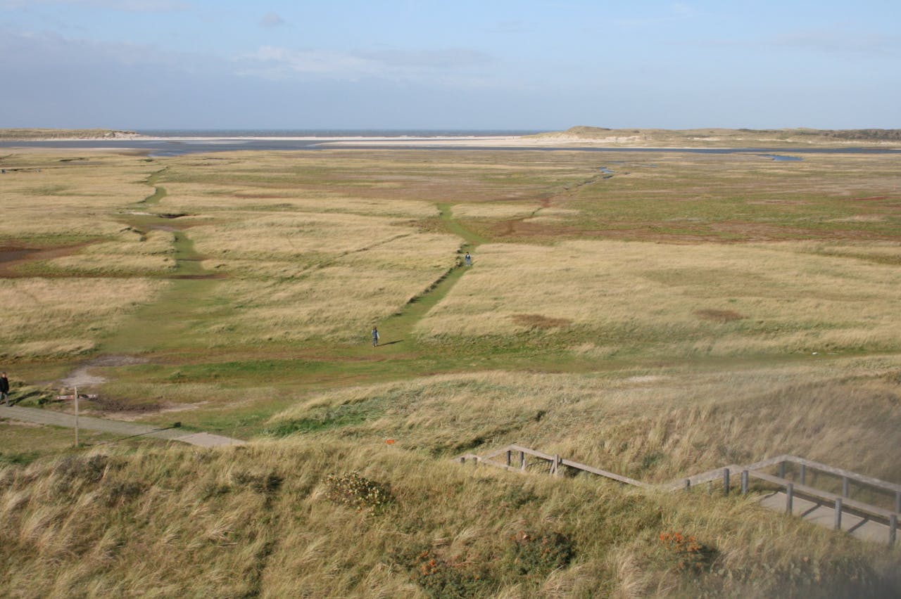 Zicht op De Slufter vanuit het uitkijkpunt aan de Zanddijk, met de opening naar zee in de Lange Dam. Ongeveer tien keer per jaar stroomt De Slufter gedeeltelijk vol.