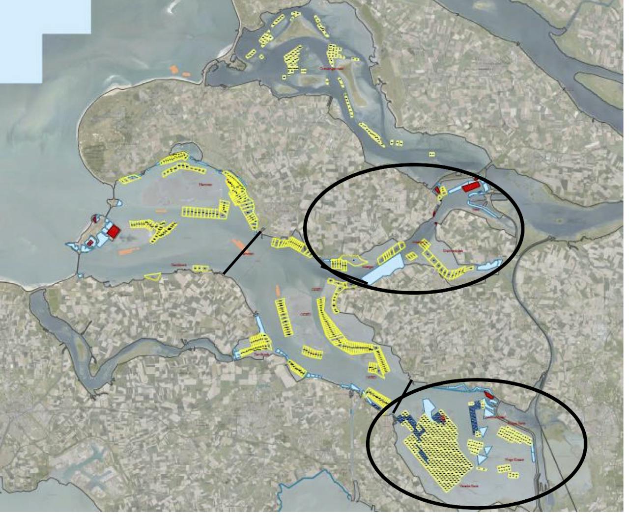 De twee productiegebieden (zwart omcirkeld) van mosselen en oesters in de Oosterschelde die gesloten zijn. Mosselen en oesters uit deze gebieden mogen alleen na dubbele controle waaruit blijkt dat ze vrij zijn van TTX, worden verhandeld.