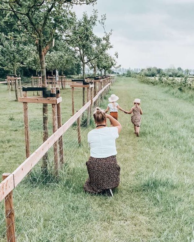 Twee meisjes lopen hand en hand door het gras. Hun moeder zit op haar hurken achter hen en maakt een foto. Twee meisjes lopen hand en hand door het gras. Hun moeder zit op haar hurken achter hen en maakt een foto.