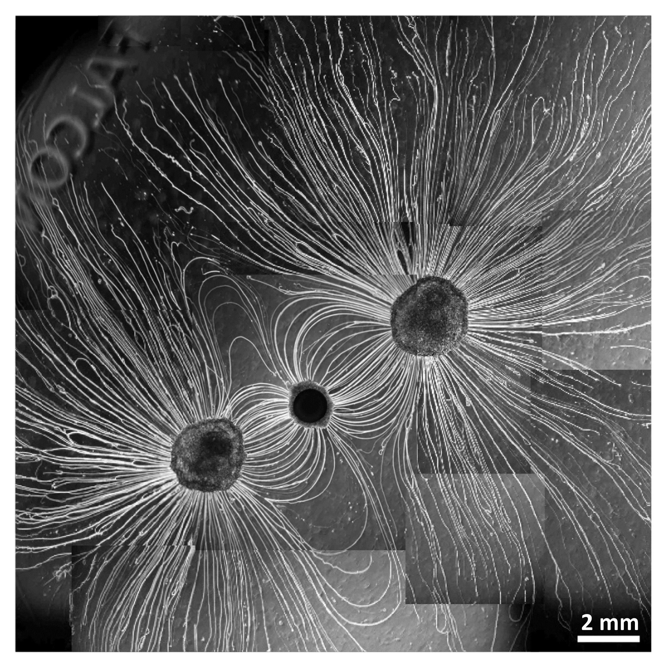 Een samengestelde afbeelding van drie druppels en hoe zij zich bewegen ten opzichte van elkaar.