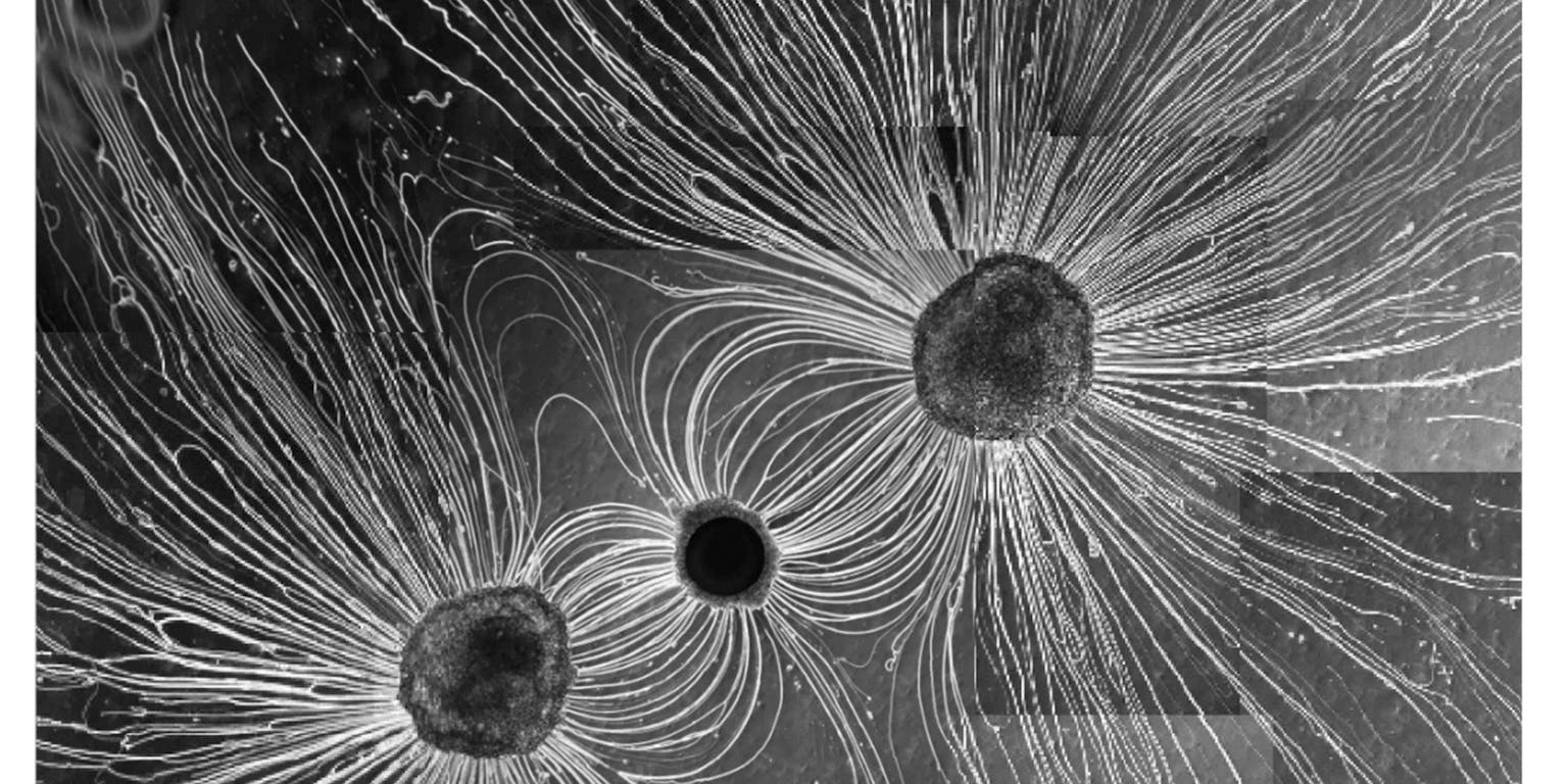 Een samengestelde afbeelding van drie druppels en hoe zij zich bewegen ten opzichte van elkaar.