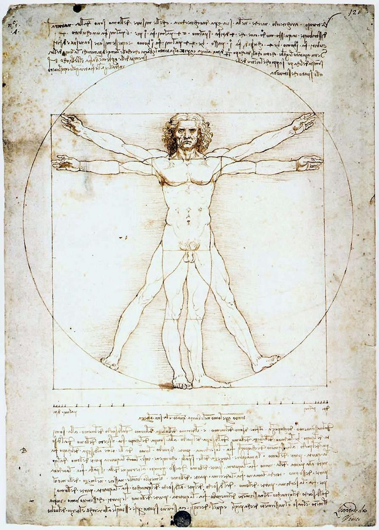 Tekening van Leonardo da Vinci van de Vitruviusman. In deze tekening beschijft da Vinci een aantal verhoudingen van het menselijk lichaam.