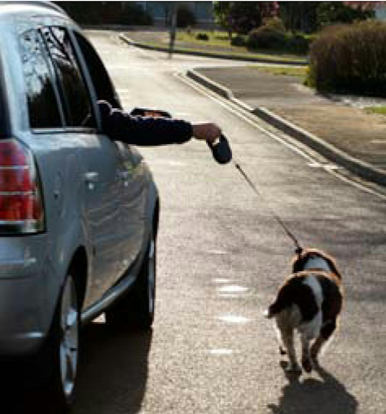 Een persoon zit in de auto met zijn hand uit het raam. De persoon heeft een hondenriem vast. Naast de auto loopt een hond aan de riem.