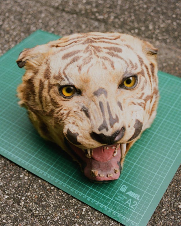 Still uit ‘Life and other problems’ tijgerkop op een groene meetkundige mat