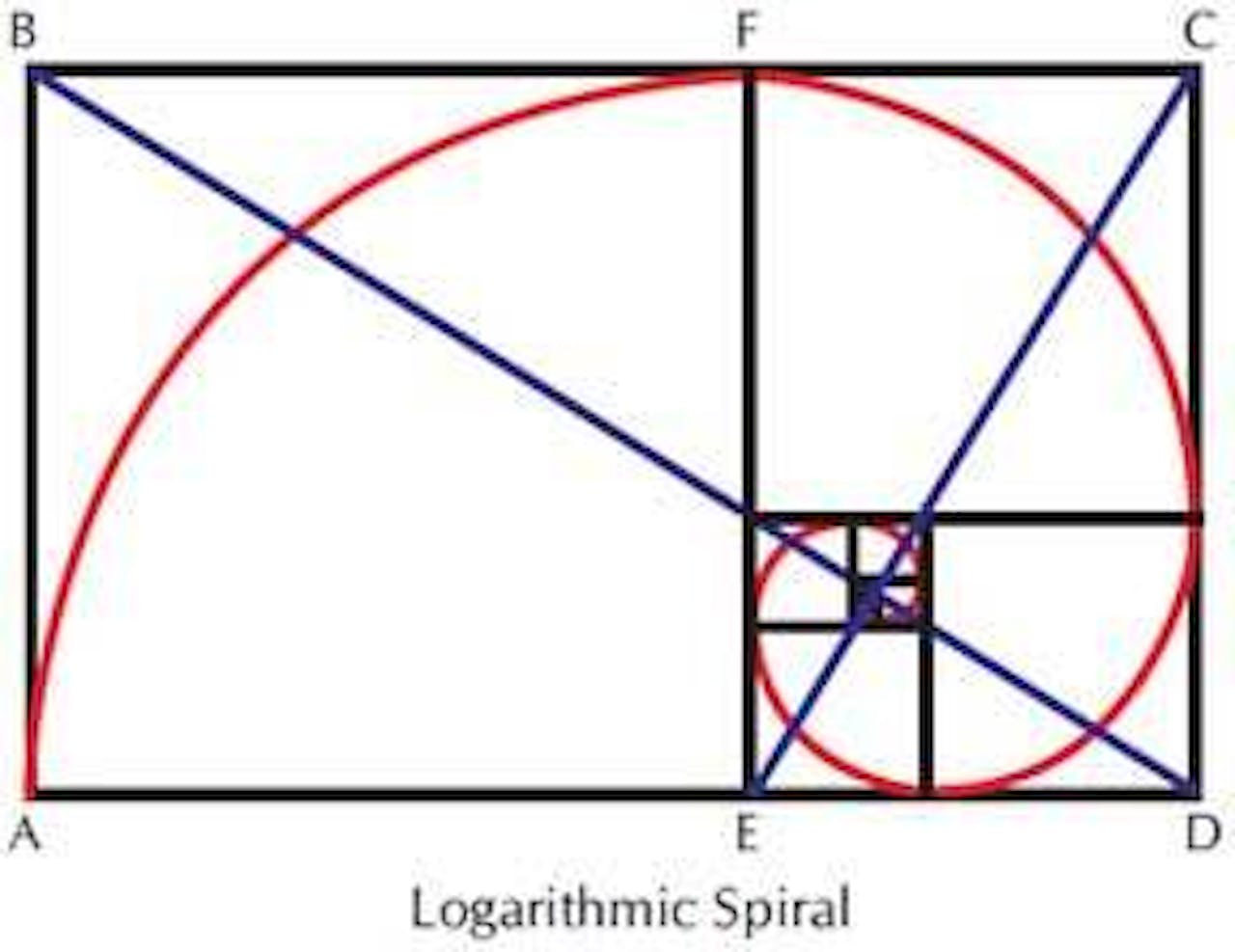 Een diagram van een logaritmische spiraal.
