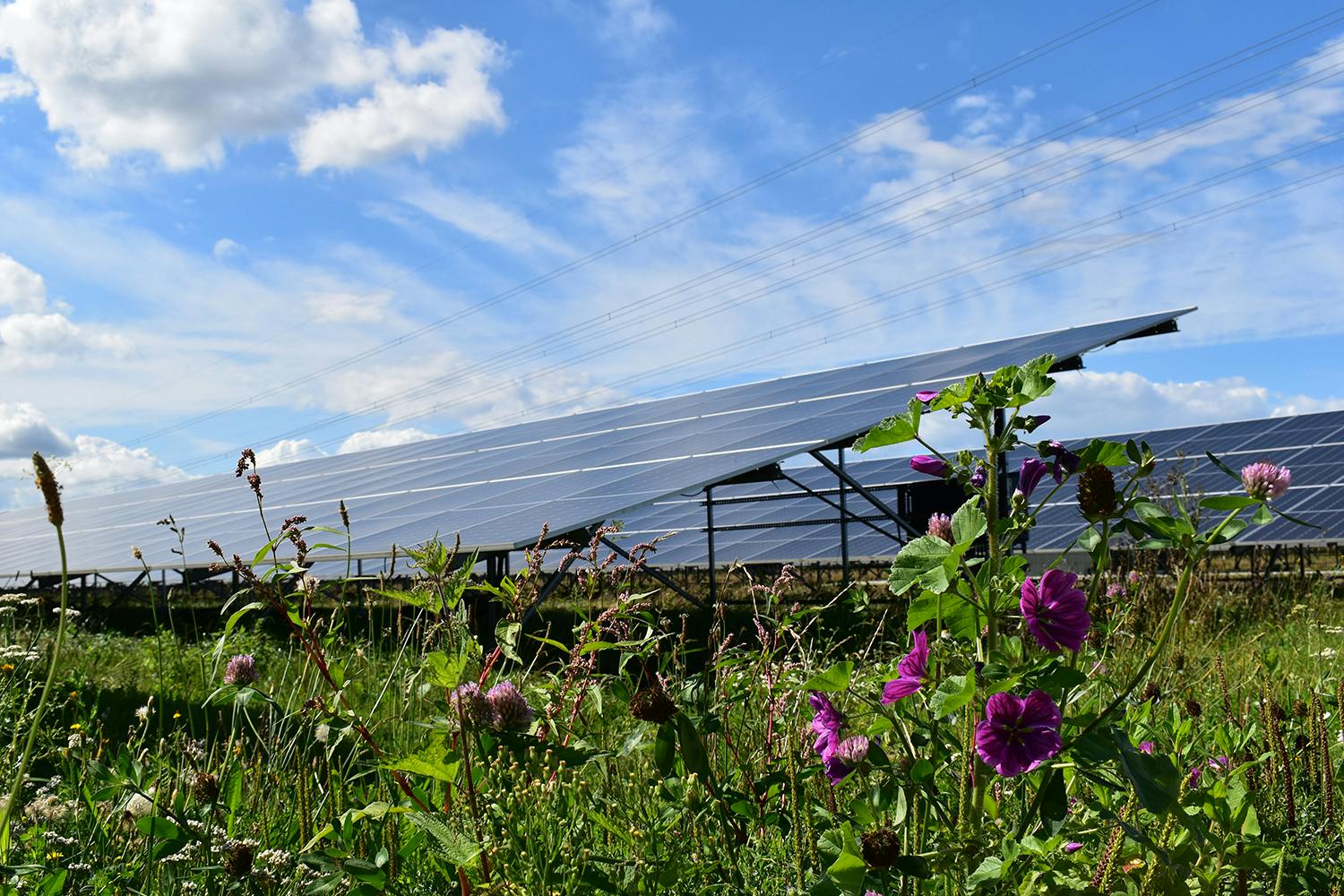 Een zonnepaneel in een veld.