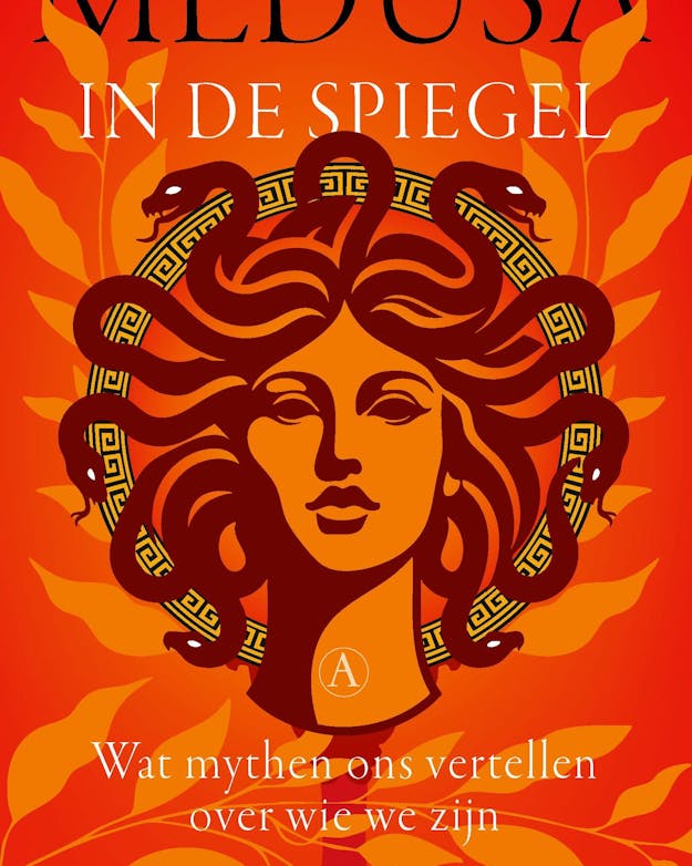 Cover van Medusa in de spiegel Cover van Medusa in de spiegel