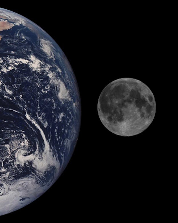 Maan en aarde, op schaal