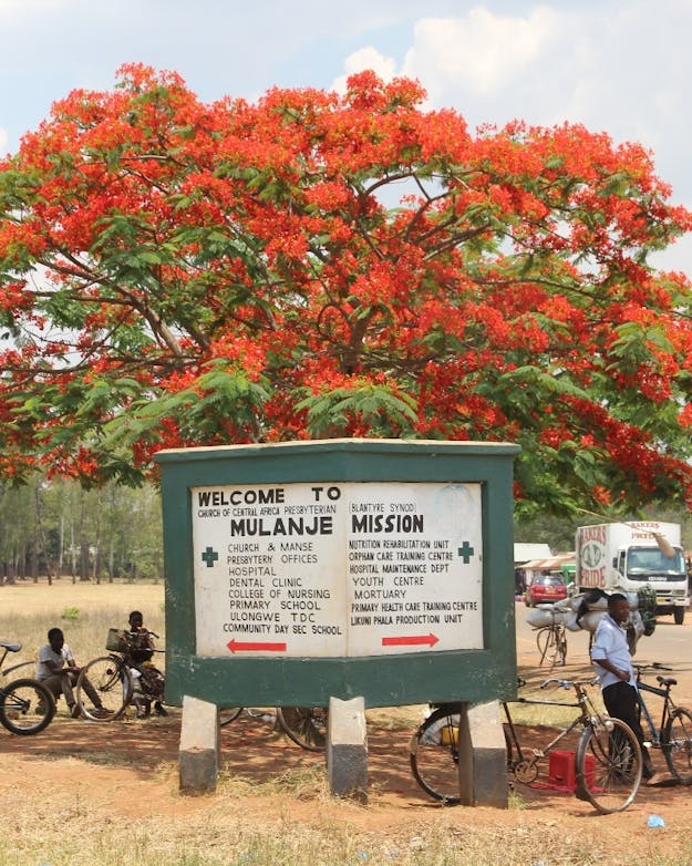 De ingang van het ziekenhuisterrein van het Mulanje Mission Hospital in Malawi. Een boom met oranje bloesem op dor gras. Er staat een bord voor met de tekst 'Mulanje Mission'. Eromheen staan mensen met een fiets te wachten.