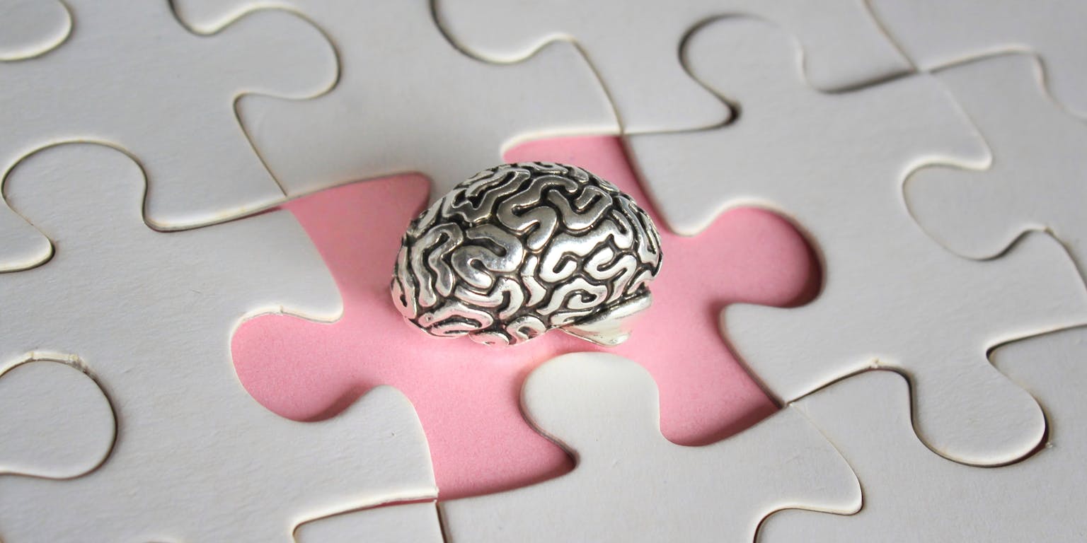 Het menslijke brein als een grote puzzel.