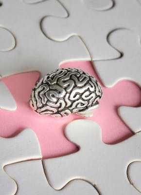 Het menslijke brein als een grote puzzel.