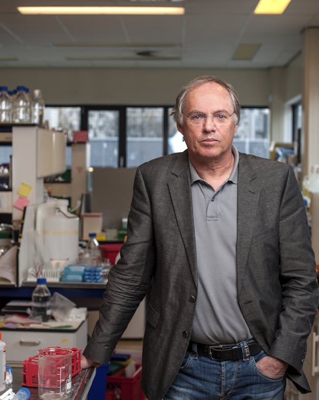 Hans Clevers: “Als één gezonde cel genoeg kan zijn voor genezing, biedt een behandeling van minilevers perspectief voor miljoenen patiënten.”