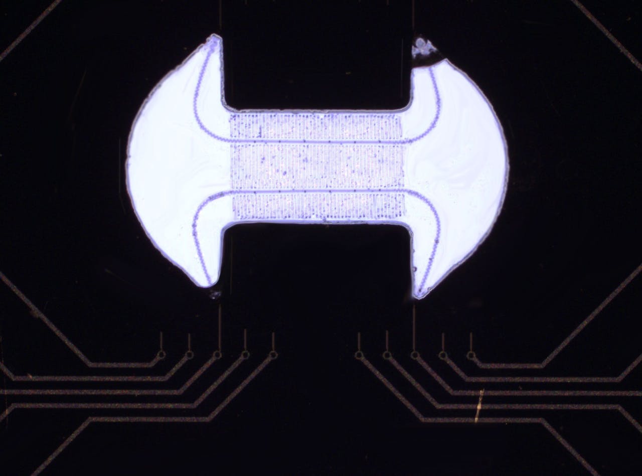 Gekweekte hartcellen worden getest op een flexibele chip. De chips zijn op dit moment nog te groot om in standaard kweekbakjes te brengen. In samenwerking met de TU Delft probeert Mummery het systeem nu te verkleinen. Als dat lukt, kunnen de gekweekte hartcellen op grote schaal gebruikt worden. Bijvoorbeeld voor medicijnonderzoek.
