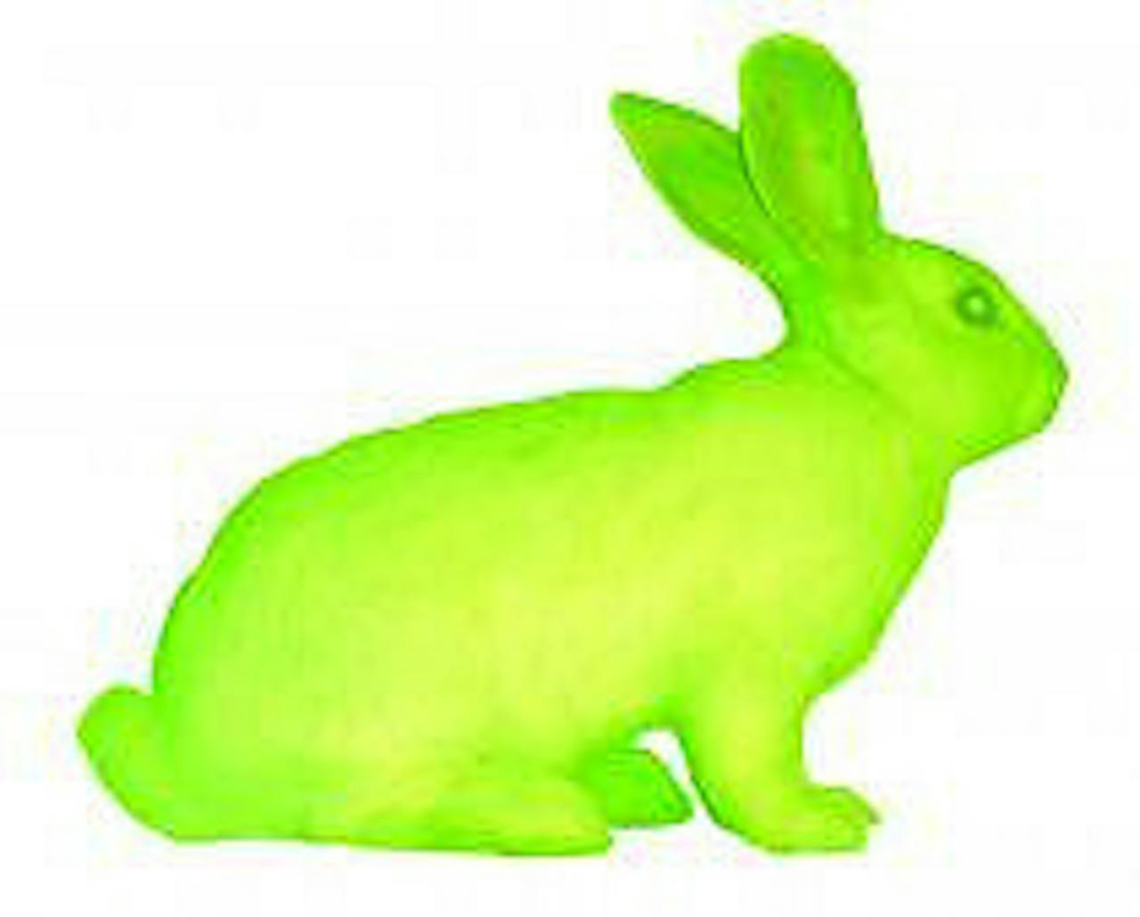Een groen konijn zittend op een witte achtergrond.