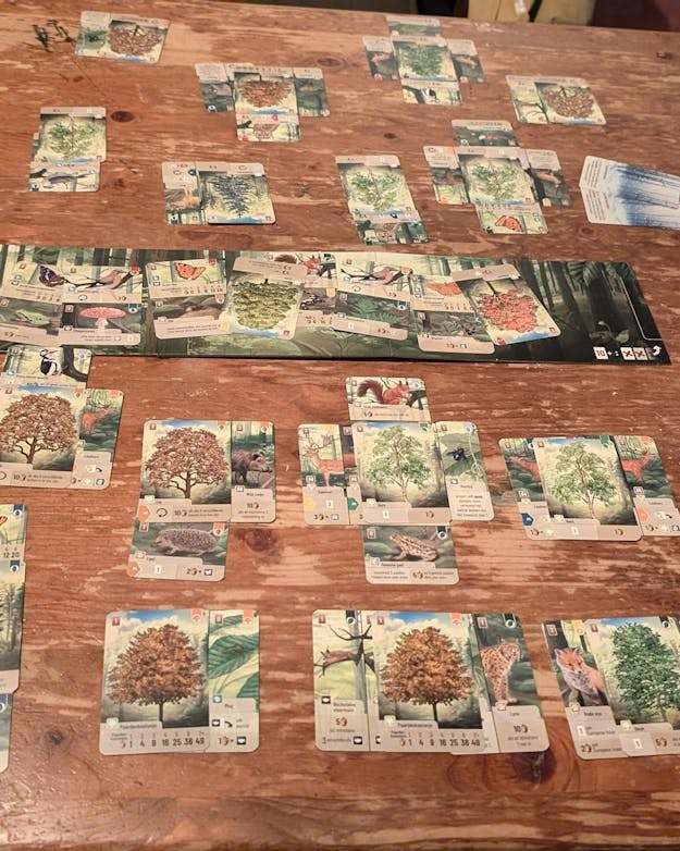 Het kaartspel ‘Forest Shuffle’. Een tafel met daarop het spel Forest Shuffle uitgelegd.