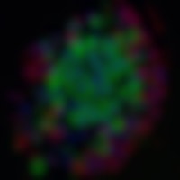 De moleculaire samenstelling van twee buurcellen in hetzelfde weefsel is variërend.