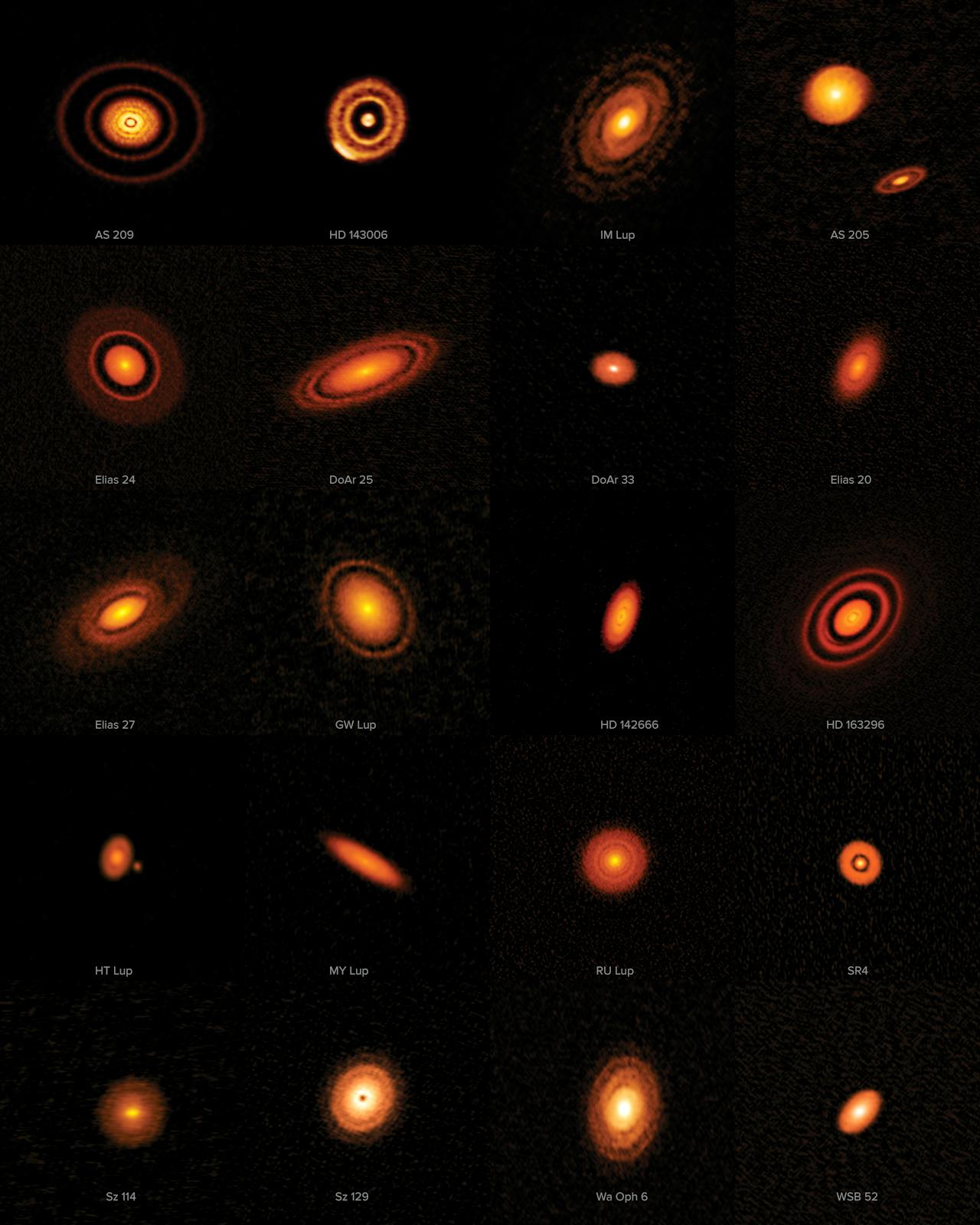 Een foto van twintig schijven van stof en gas rondom jonge sterren. Gezien door radiotelescoop ALMA.