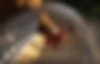 Close-up van een kip die eet uit een voerbak.